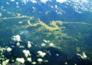 ���Ɏ����͐�