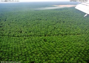 �p�[�����q�v�����e�[�V����