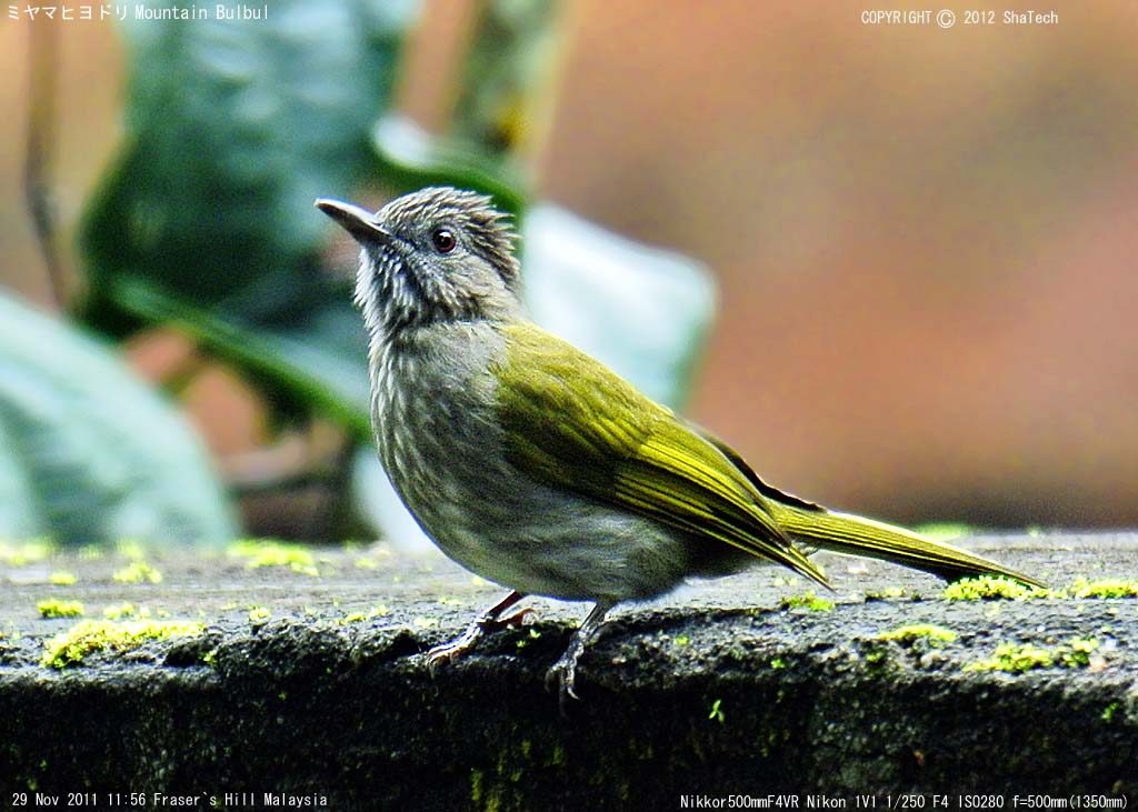 �~���}�q���h��