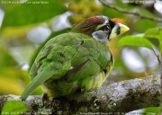 �A�J�t�T�S�V�L�h��