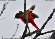 �x�j�T���V���E�N�C