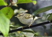 �L�}�����V�N�C