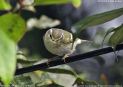 �L�}�����V�N�C