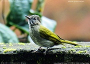 �~���}�q���h��