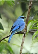 ���N�V���E�q�^�L