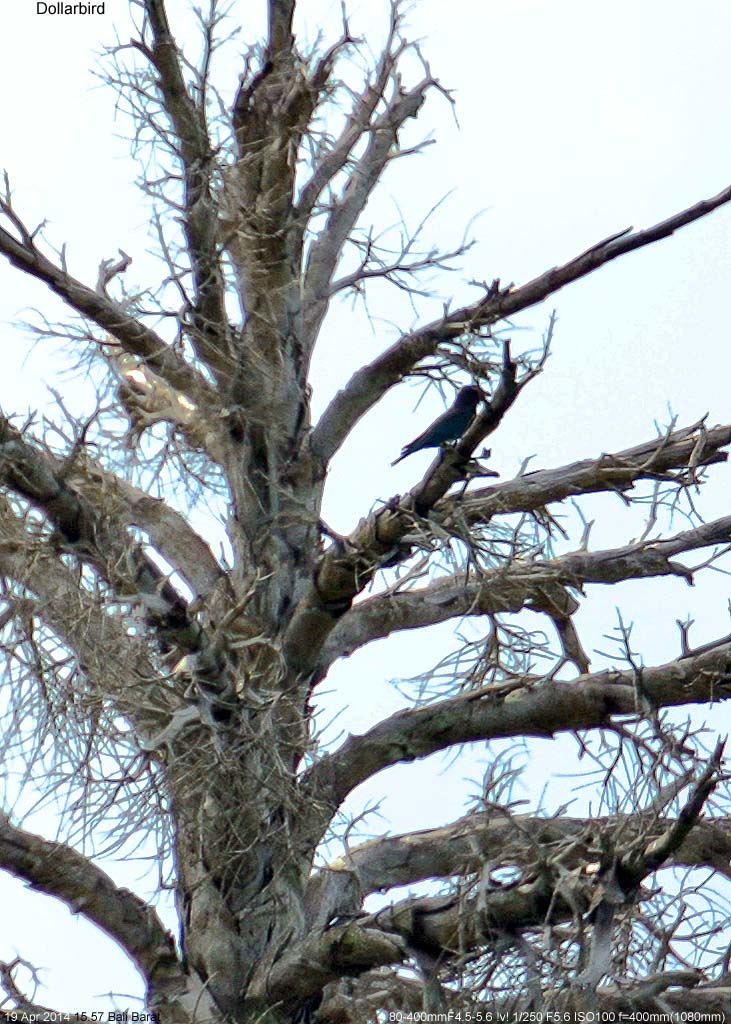 �u�b�|�E�\�E