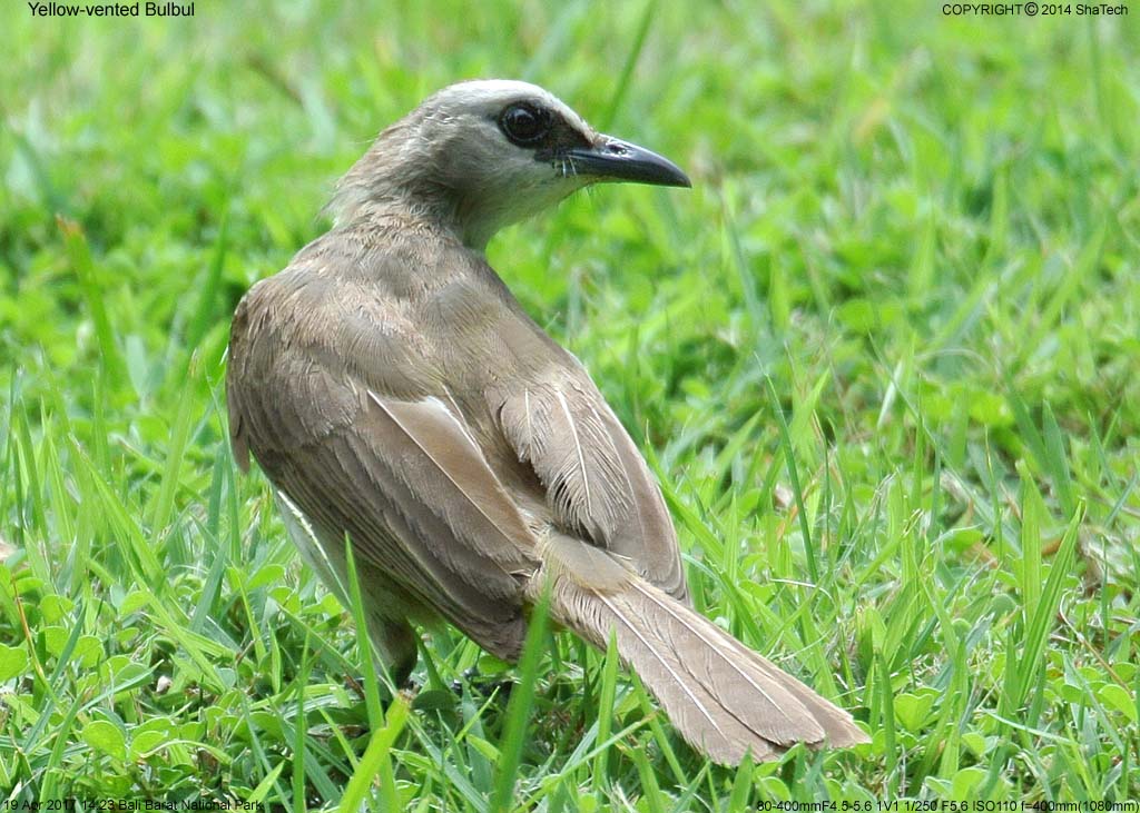 ���O���q���h��