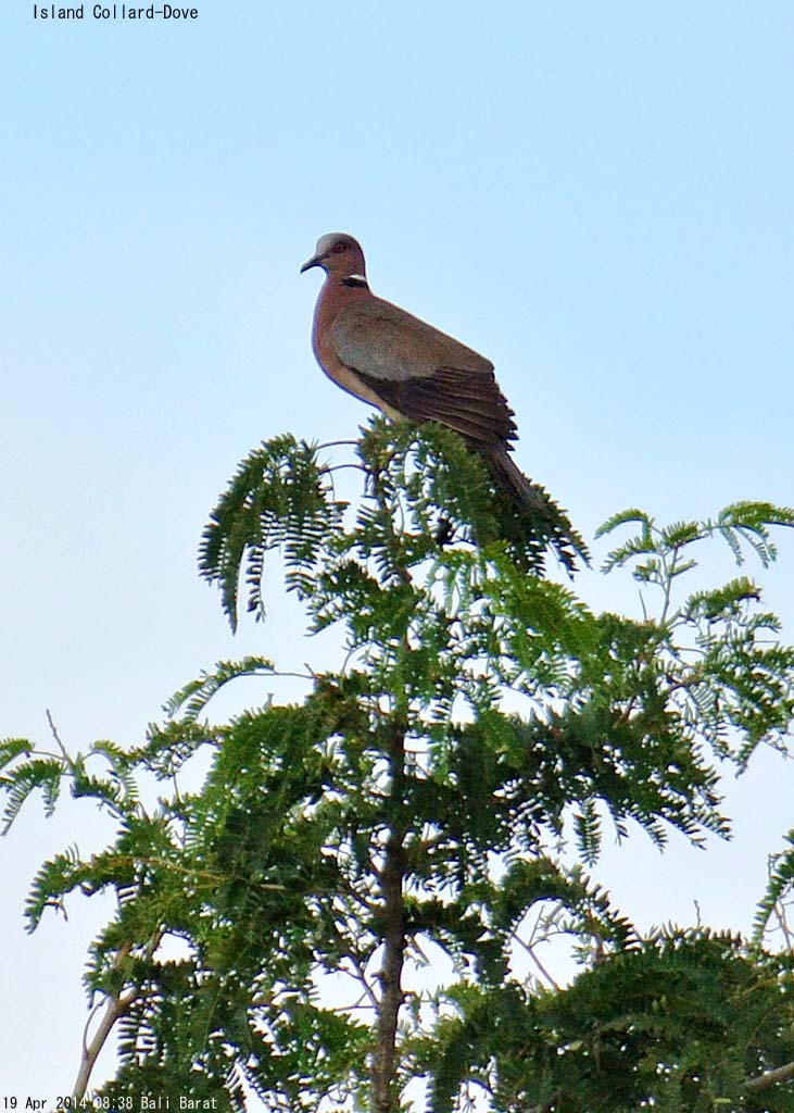 �I�I�x�j�o�g