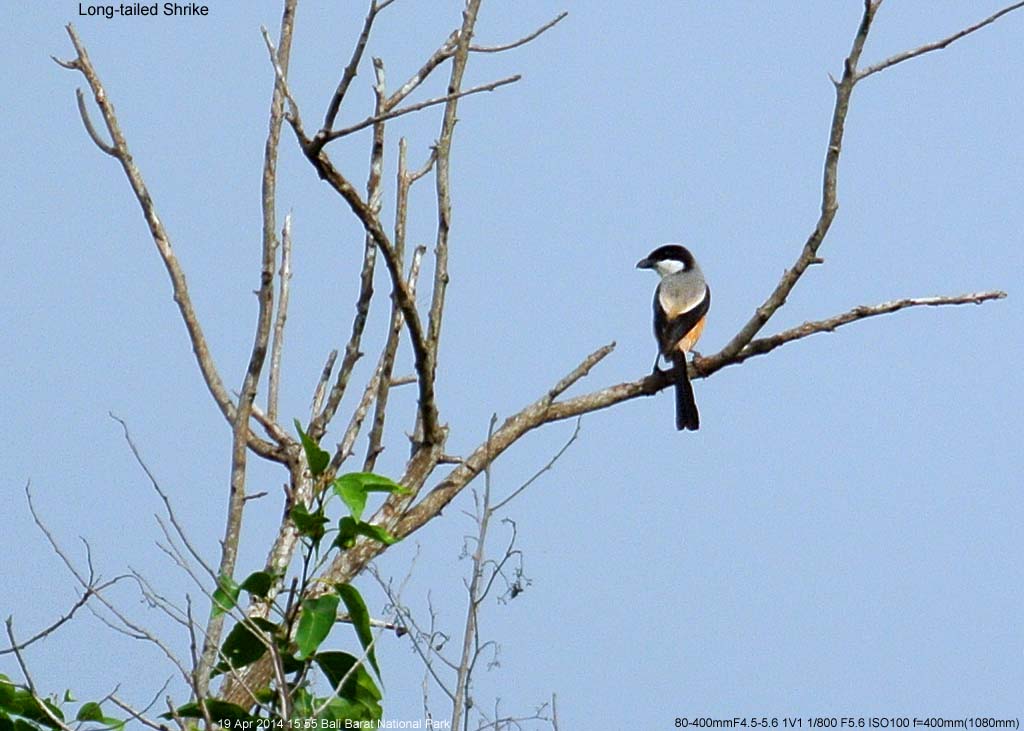 �^�J�T�S���Y